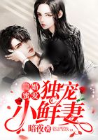 隐婚蜜爱：独宠小鲜妻在线阅读