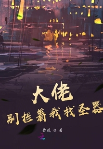 大佬別攔著我找圣器