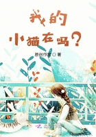 我的小貓在嗎？在線閱讀
