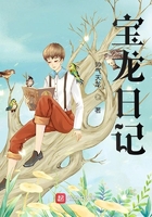 宝龙日记在线阅读