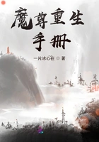 魔尊重生手册在线阅读
