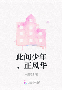 此間少年，正風華