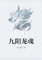 九阳龙魂