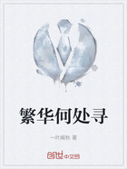 繁华何处寻在线阅读