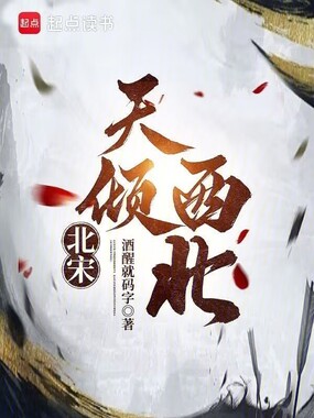 北宋：天倾西北在线阅读