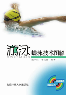 蝶泳技術圖解