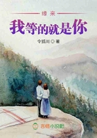 緣來我等的就是你在線閱讀