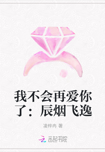 我不会再爱你了：辰烟飞逸