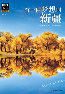 有一種夢想叫新疆