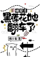 快穿之黑蓮花她翻車(chē)了！在線閱讀