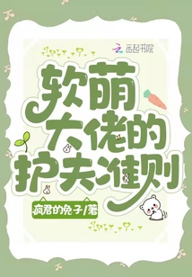 軟萌大佬的護夫準則