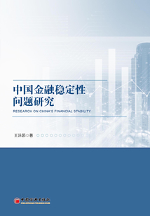 中國金融穩定性問題研究