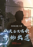 从天后演唱会开始出道