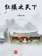 红楼之天下在线阅读