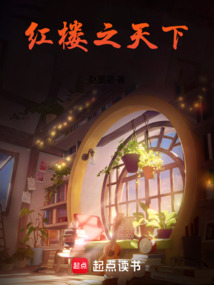 紅樓之天下