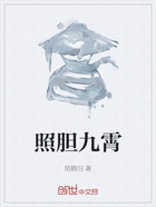 照胆九霄在线阅读