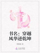 书名:穿越风华逆乾坤在线阅读