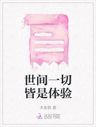 世间一切皆是体验在线阅读