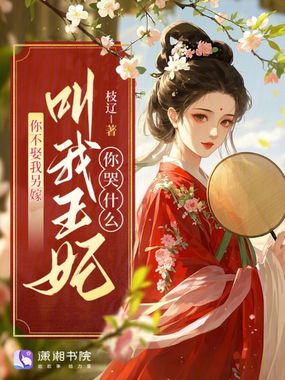 你不娶我另嫁,叫我王妃你哭什么在线阅读