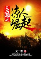 三国之凉人崛起在线阅读