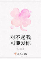 對不起我可能愛你在線閱讀