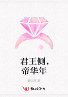 君王側，帝華年在線閱讀