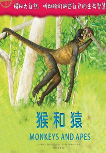 自然傳奇：猴和猿