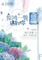 驚鴻一瞥遇到你在線閱讀