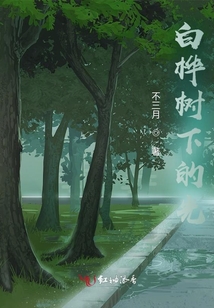 白樺樹下的光