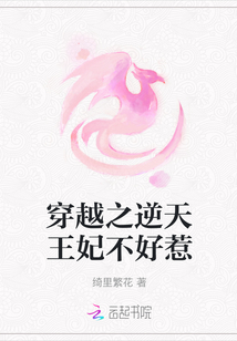 穿越之逆天王妃不好惹