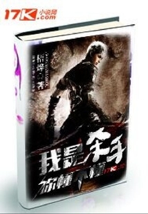 我是殺手你懂不懂