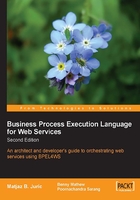 Business Process Execution Language for Web Services 2nd Edition