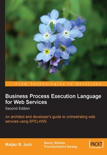 Business Process Execution Language for Web Services 2nd Edition