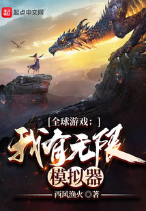 全球游戏：我有无限模拟器在线阅读