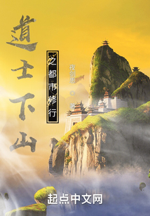 道士下山之都市修行