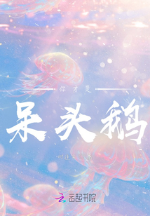 你才是呆頭鵝