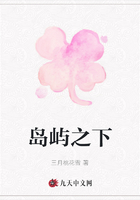 岛屿之下在线阅读