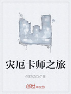 灾厄卡师之旅在线阅读