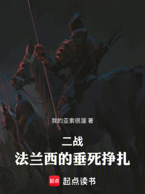 二战：法兰西的垂死挣扎在线阅读