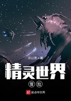 精灵世界冒险在线阅读