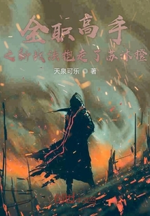 全職高手之新戰法抱走了蘇沐橙