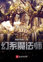 幻系魔法师在线阅读