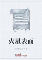 火星表面在線閱讀