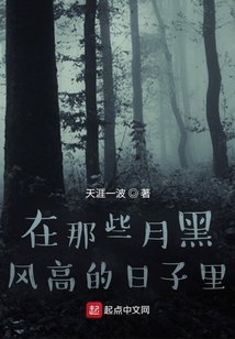 在那些月黑風高的日子里
