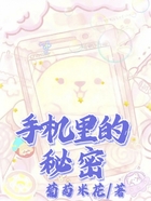 手機里的秘密在線閱讀