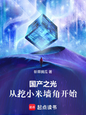 国产之光，从挖小米墙角开始！在线阅读