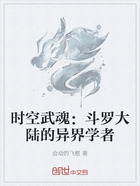 时空武魂:斗罗大陆的异界学者在线阅读