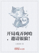 开局戏弄阿哈,邀请银狼!在线阅读