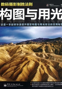 数码摄影制胜法则:构图与用光