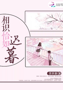 相識恰如遲暮